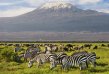 Ol Tukai Lodge, Amboseli National Park
